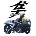 SUZUKI HAYABUSA PROSTREET
